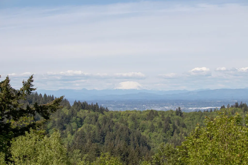 View from a nearby cemetery