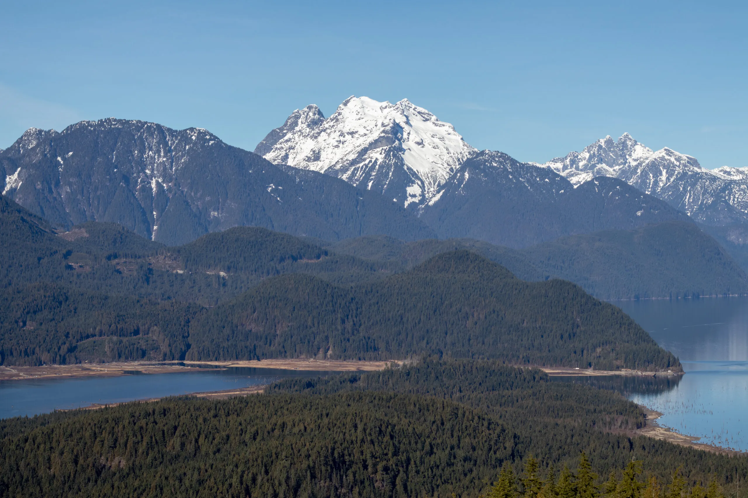 Hunter Logging Road