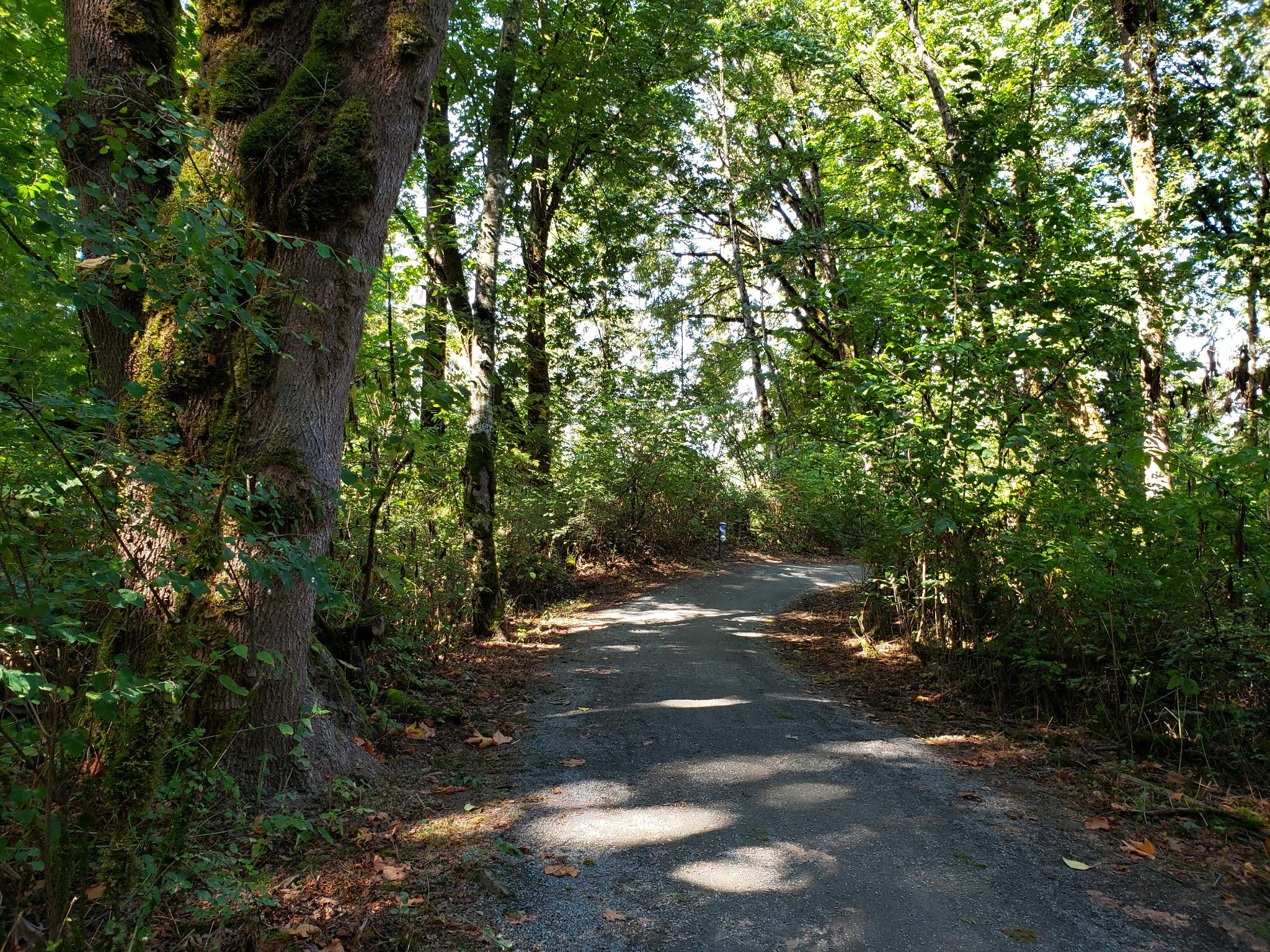Vedder River Rotary Loop - Vayuri