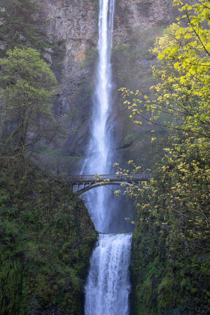 Multnomah Falls